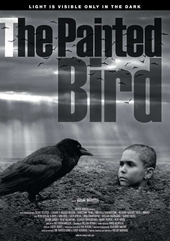 NABARVENÉ PTÁCE / THE PAINTED BIRD